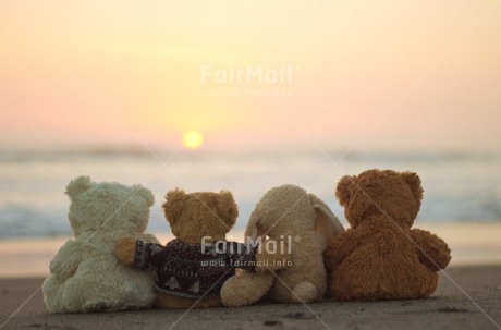 Fair Trade Photo Animals, Beach, Colour image, Cute, Friendship, Horizontal, Love, Peru, Rabbit, Sea, South America, Sunset, Teddybear, Valentines day