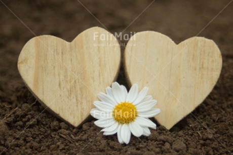 Fair Trade Photo Colour image, Heart, Horizontal, Love, Marriage, Peru, South America, Valentines day, Wedding