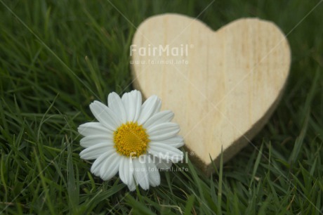 Fair Trade Photo Colour image, Heart, Horizontal, Love, Marriage, Peru, South America, Valentines day, Wedding