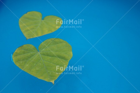 Fair Trade Photo Blue, Colour image, Condolence-Sympathy, Green, Heart, Horizontal, Leaf, Love, Peru, South America, Valentines day