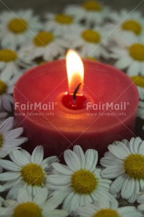 Fair Trade Photo Candle, Christmas, Colour image, Condolence-Sympathy, Daisy, Flame, Flower, Love, Peru, Red, South America, Thinking of you, Vertical