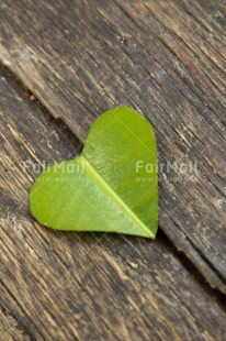 Fair Trade Photo Blue, Colour image, Green, Heart, Leaf, Love, Mothers day, Peru, Sky, South America, Valentines day, Vertical, Wood