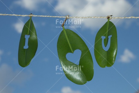 Fair Trade Photo Blue, Colour image, Green, Heart, Horizontal, Leaf, Love, Peru, Sky, South America, Valentines day