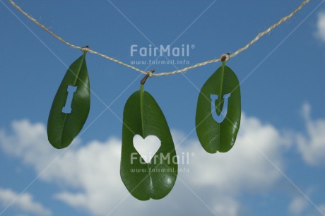 Fair Trade Photo Blue, Colour image, Green, Heart, Horizontal, Leaf, Love, Peru, Sky, South America, Valentines day