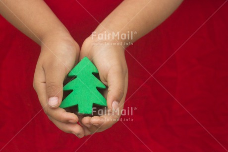 Fair Trade Photo Activity, Christmas, Colour image, Giving, Green, Hand, Horizontal, Peru, Red, South America, Tree
