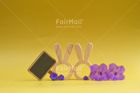Fair Trade Photo Adjective, Animals, Birthday, Blackboard, Brother, Colour, Congratulations, Easter, Flower, Horizontal, Mother, Mothers day, Nature, Object, People, Rabbit, Sister, Thinking of you, Violet