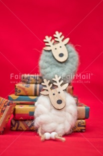 Fair Trade Photo Activity, Adjective, Animals, Celebrating, Christmas, Christmas decoration, Colour, Gift, Object, Present, Red, Reindeer, Vertical