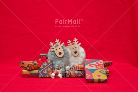 Fair Trade Photo Activity, Adjective, Animals, Celebrating, Christmas, Christmas decoration, Colour, Gift, Horizontal, Object, Present, Red, Reindeer