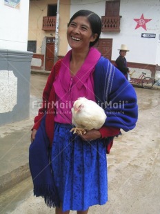 Fair Trade Photo Activity, Animals, Blue, Chicken, Colour image, Dailylife, Laughing, Looking away, One woman, Outdoor, People, Peru, Pink, Portrait halfbody, Rural, Smile, Smiling, South America, Streetlife, Vertical