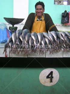 Fair Trade Photo Activity, Animals, Colour image, Entrepreneurship, Fish, Food and alimentation, Looking away, Market, Multi-coloured, One man, People, Peru, Portrait fullbody, Portrait halfbody, Proud, Salesman, Selling, South America, Vertical, Work