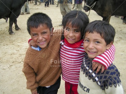 Fair Trade Photo Activity, Animals, Colour image, Cow, Dailylife, Day, Friendship, Group of children, Horizontal, Hugging, Looking at camera, Multi-coloured, Outdoor, People, Peru, Portrait halfbody, Rural, Smile, Smiling, South America, Streetlife, Together