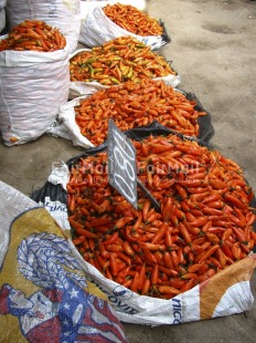 Fair Trade Photo Agriculture, Colour image, Dailylife, Entrepreneurship, Food and alimentation, Fruits, Market, Orange, Peru, South America, Streetlife, Vertical