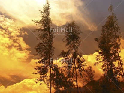 Fair Trade Photo Clouds, Colour image, Evening, Horizontal, Nature, Outdoor, Peru, Scenic, Sky, South America, Sunset, Travel, Tree