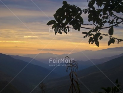 Fair Trade Photo Colour image, Evening, Horizontal, Mountain, Nature, Outdoor, Peru, Scenic, Sky, South America, Sunset, Travel, Tree