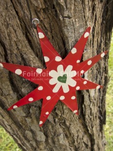 Fair Trade Photo Christmas, Colour image, Day, Garden, Heart, Love, Outdoor, Peru, Red, South America, Star, Tree, Vertical