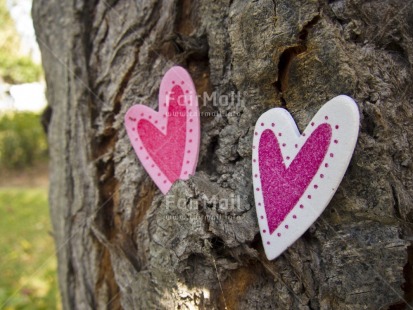 Fair Trade Photo Colour image, Day, Heart, Horizontal, Love, Marriage, Outdoor, Peru, Pink, South America, Tree, Valentines day