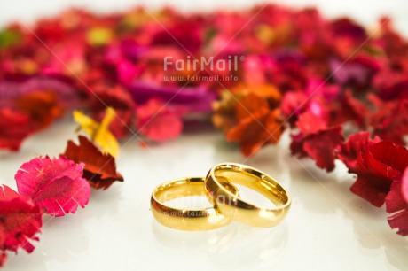 Fair Trade Photo Colour image, Flowers, Gold, Horizontal, Love, Marriage, Peru, Red, Ring, South America, Two, Wedding, White