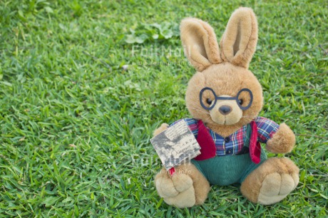 Fair Trade Photo Animals, Colour image, Grass, Green, Holiday, Peluche, Peru, Rabbit, South America, Travel