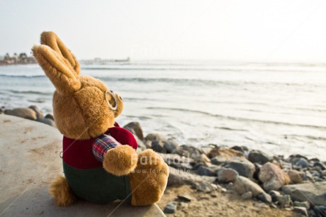 Fair Trade Photo Animals, Beach, Colour image, Holiday, Love, Peluche, Peru, Rabbit, Sea, South America, Thinking of you, Valentines day