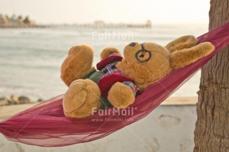 Fair Trade Photo Activity, Animals, Beach, Birthday, Colour image, Congratulations, Fathers day, Friendship, Get well soon, Hammock, Holiday, Huanchaco, Mothers day, New beginning, Peluche, Peru, Rabbit, Relax, Relaxing, Sea, Sleeping, South America, Thinking of you, Travel
