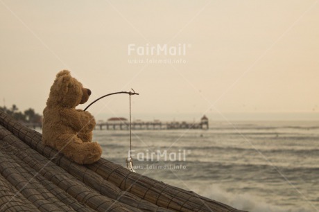 Fair Trade Photo Animals, Beach, Bear, Birthday, Colour image, Friendship, Love, Mothers day, New beginning, Peluche, Peru, Sea, South America, Sunset, Teddybear, Thank you, Thinking of you, Valentines day, Wedding