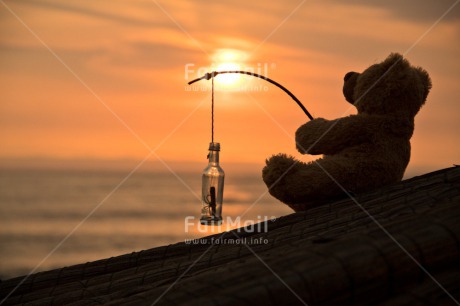 Fair Trade Photo Animals, Beach, Bear, Birthday, Colour image, Friendship, Love, Mothers day, New beginning, Peluche, Peru, Sea, South America, Sunset, Teddybear, Thank you, Thinking of you, Valentines day, Wedding