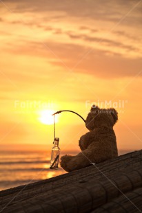 Fair Trade Photo Animals, Beach, Bear, Birthday, Colour image, Friendship, Love, Mothers day, New beginning, Peluche, Peru, Sea, South America, Sunset, Teddybear, Thank you, Thinking of you, Valentines day, Wedding