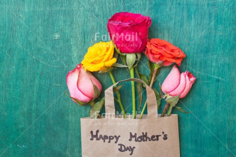 Fair Trade Photo Bag, Flower, Green, Letter, Mothers day, Peru, Petals, Rose, South America, Text