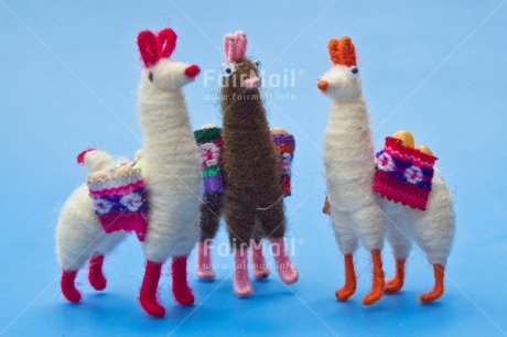 Fair Trade Photo Adjective, Animals, Birthday, Blue, Colour, Colour image, Friend, Friendship, Horizontal, Llama, Party, People, Peru, Place, South America