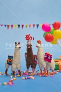 Fair Trade Photo Adjective, Animals, Birthday, Blue, Colour, Colour image, Friend, Friendship, Llama, Party, People, Peru, Place, South America, Vertical