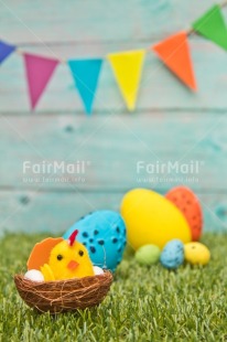 Fair Trade Photo Adjective, Animals, Birthday, Chick, Colour, Congratulations, Easter, Egg, Food and alimentation, Nest, Object, Party, Vertical