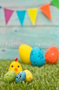 Fair Trade Photo Adjective, Animals, Chick, Colour, Easter, Egg, Food and alimentation, Vertical