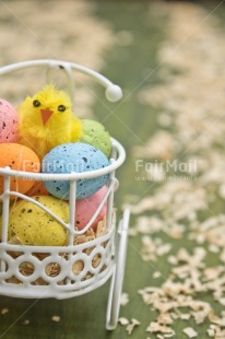 Fair Trade Photo Adjective, Animals, Chick, Colour, Easter, Egg, Food and alimentation, New baby, Vertical