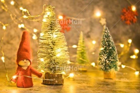 Fair Trade Photo Activity, Adjective, Celebrating, Christmas, Christmas decoration, Christmas tree, Colour, Doll, Horizontal, Light, Nature, Object, Present, Red, Star