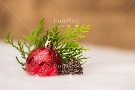 Fair Trade Photo Christmas, Christmas ball, Christmas decoration, Colour, Green, Object, Pine cone, Snow