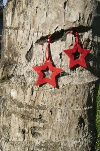 Fair Trade Photo Christmas, Colour image, Day, Horizontal, Outdoor, Peru, Red, South America, Star, Tree