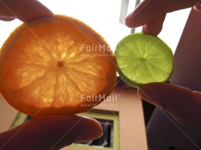 Fair Trade Photo Closeup, Colour image, Day, Food and alimentation, Fruits, Get well soon, Hand, Health, Horizontal, House, Indoor, Lemon, Orange, Peru, South America