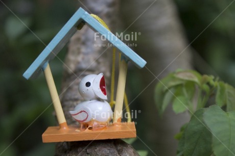 Fair Trade Photo Animals, Bird, Colour image, Day, Easter, Horizontal, New home, Outdoor, Peru, South America, Tree