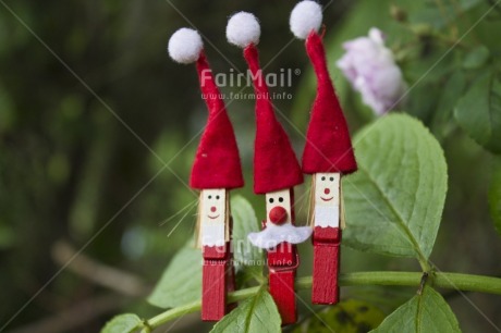 Fair Trade Photo Christmas, Colour image, Day, Green, Horizontal, Nature, Outdoor, Peru, Red, Santaclaus, South America, Tabletop, Tree