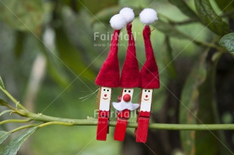 Fair Trade Photo Christmas, Colour image, Day, Green, Horizontal, Nature, Outdoor, Peru, Red, Santaclaus, South America, Tabletop, Tree