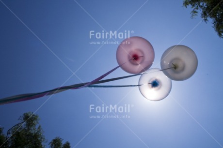 Fair Trade Photo Balloon, Birthday, Colour image, Horizontal, Invitation, Low angle view, Party, Peru, Seasons, Sky, South America, Summer, Tree