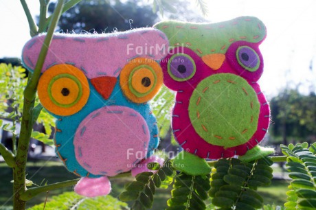 Fair Trade Photo Day, Friendship, Green, Horizontal, Love, Outdoor, Owl, Peru, Pink, South America, Together