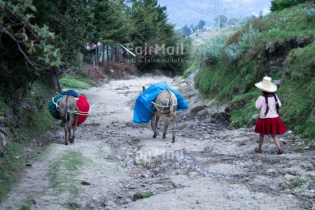 Fair Trade Photo Activity, Agriculture, Animals, Care, Child labour, Clothing, Day, Donkey, Ethnic-folklore, Horizontal, Mountain, One girl, Outdoor, People, Portrait fullbody, Rural, Sombrero, Traditional clothing, Walking