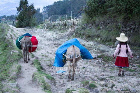 Fair Trade Photo Activity, Agriculture, Animals, Care, Child labour, Clothing, Day, Donkey, Ethnic-folklore, Horizontal, Mountain, One girl, Outdoor, People, Portrait fullbody, Rural, Sombrero, Traditional clothing, Walking