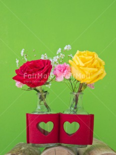 Fair Trade Photo Closeup, Colour image, Flower, Heart, Love, Mothers day, Peru, Rose, South America, Studio, Thank you, Valentines day, Wood