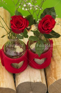 Fair Trade Photo Closeup, Colour image, Flower, Heart, Love, Mothers day, Peru, Red, Rose, South America, Studio, Thank you, Valentines day, Wood