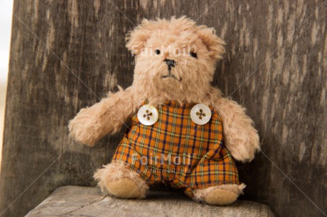 Fair Trade Photo Closeup, Colour image, Cute, Peru, South America, Teddybear