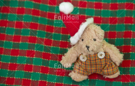 Fair Trade Photo Christmas, Green, Horizontal, Peru, Red, South America, Studio, Teddybear