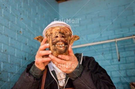 Fair Trade Photo Animals, Colour image, Funny, Goat, Horizontal, Latin, Market, One man, People, Peru, South America