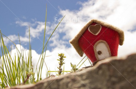 Fair Trade Photo Colour image, Day, Flower, Horizontal, House, New home, Outdoor, Peru, Red, South America, Yellow